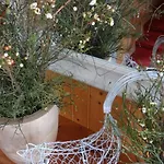 Garni Hostatt Hotel Engelberg