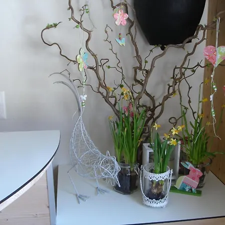 가르니 호스타트 호텔 3*