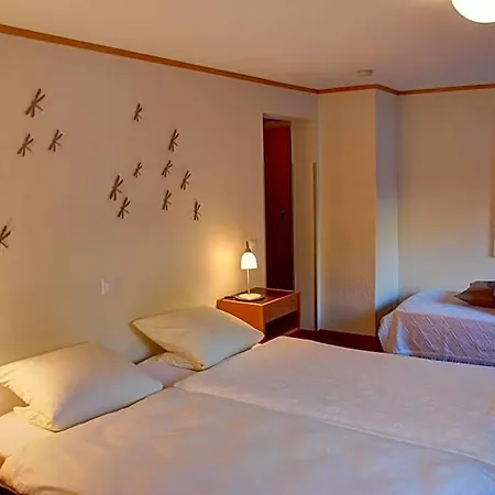 Hotel Garni Hostatt 3*