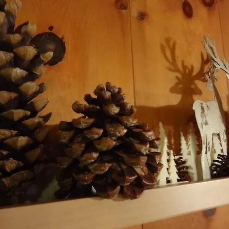 가르니 호스타트