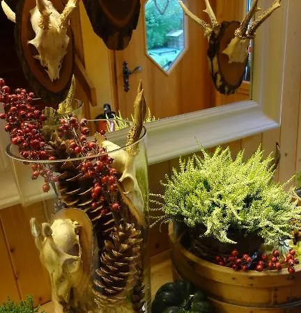 Garni Hostatt Готель Енгельберг